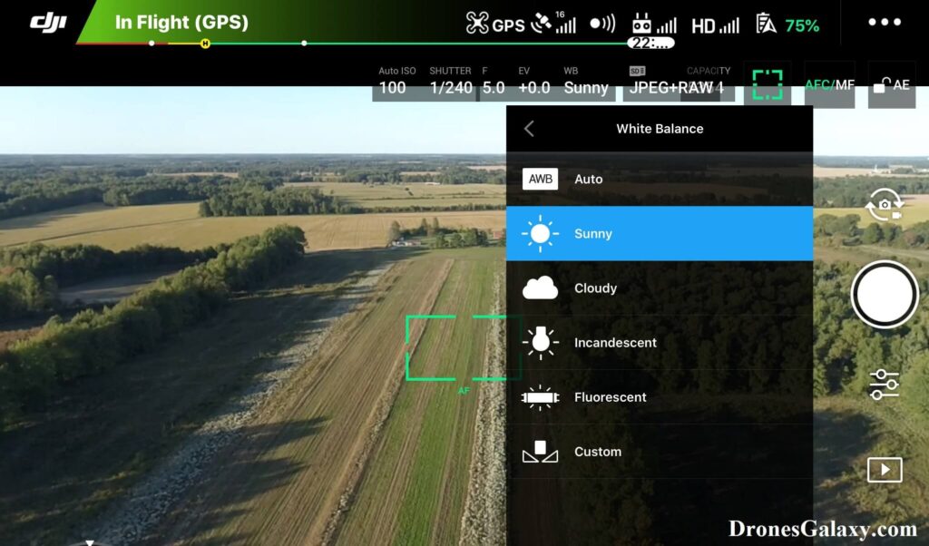 DJI GO 4 White Balance Sunny Setting