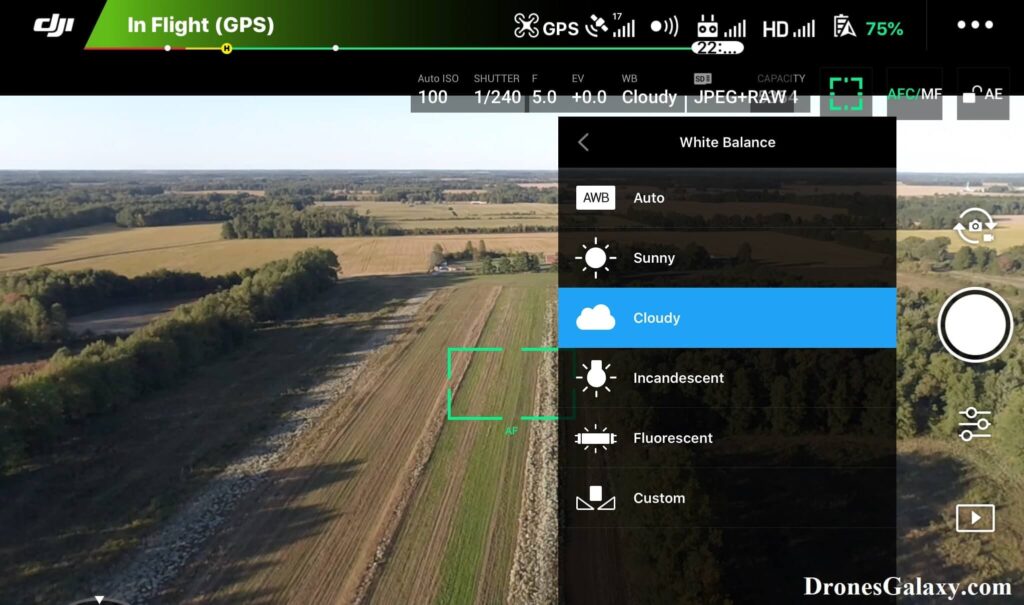 DJI GO 4 White Balance Cloudy Setting