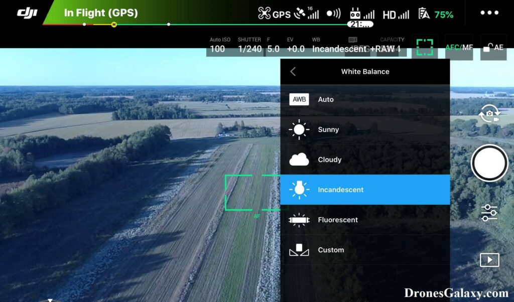 DJI GO 4 White Balance Incandescent Setting