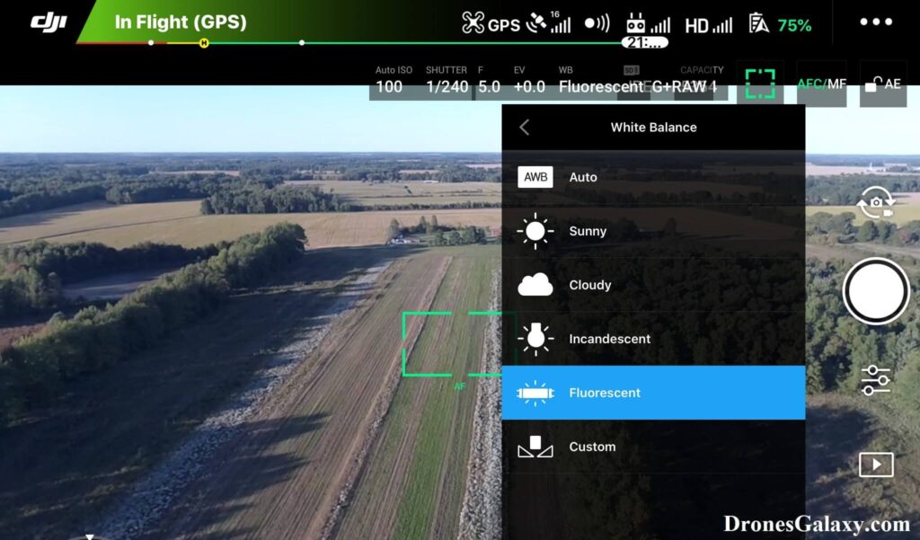 DJI GO 4 White Balance Fluorescent Setting