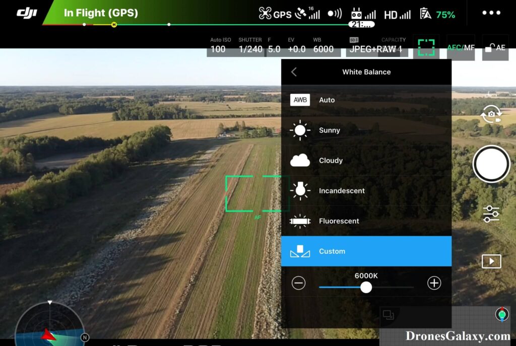 DJI GO 4 White Balance Custom Setting