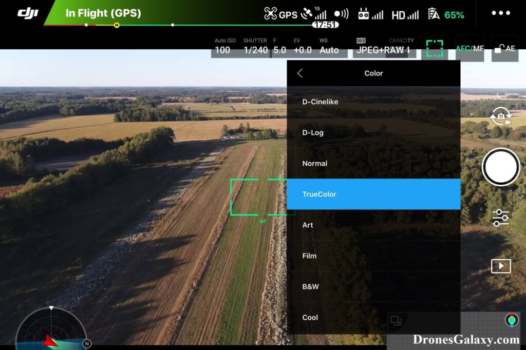 DJI GO 4 Color Settings - TrueColor